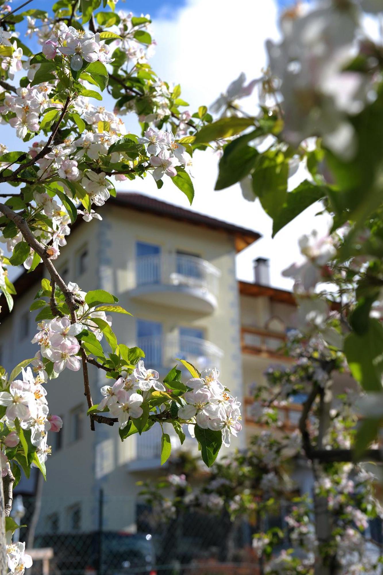 Sporthotel Vetzan Schlanders Buitenkant foto